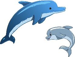 cá — fish