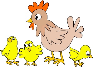 gà — chicken