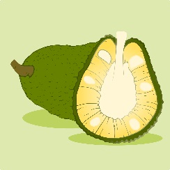mít — jackfruit